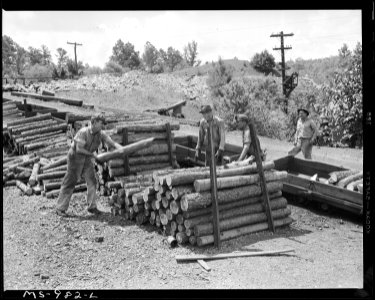 Miners loading mine props into shuttle cars. Brilliant Coal Company, Calimet Mine, Parrish, Walker, County, Alabama. - NARA - 540640 photo