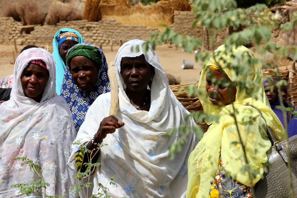Niger Maradi & Zinder (18010383750)