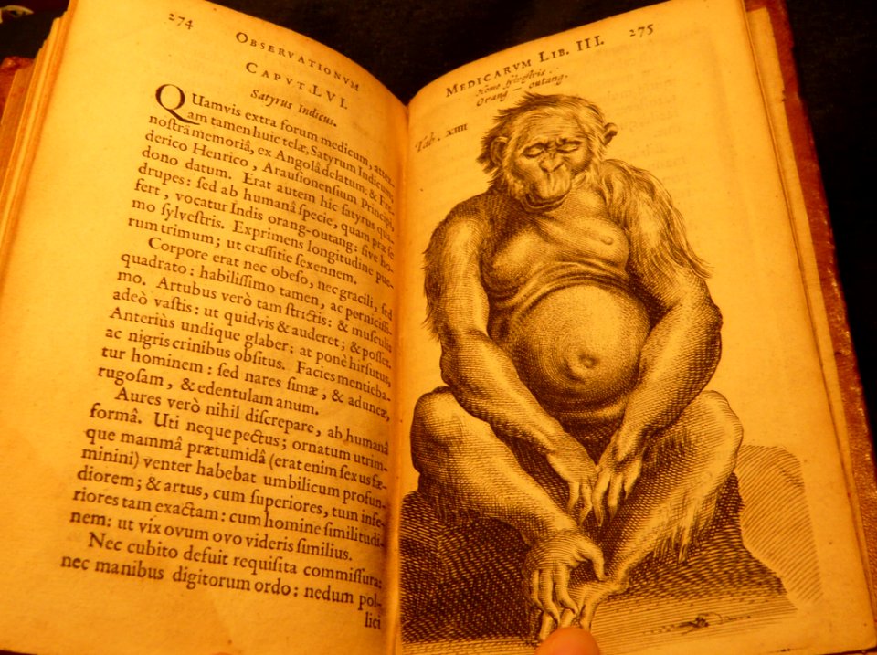 Nicolaes Tulp 1641 3de capvt lvi satyr