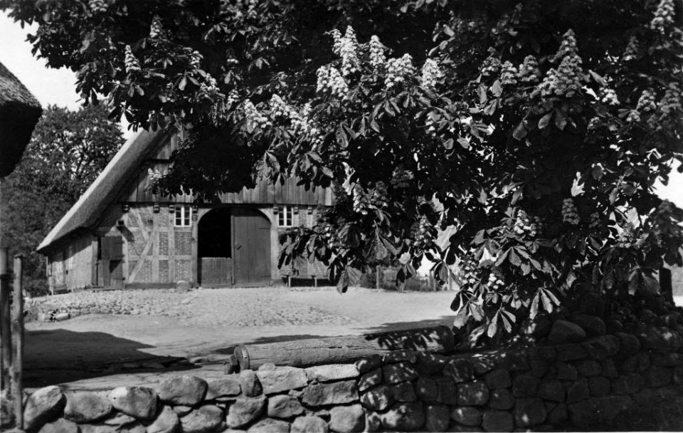 Niedersachsenhaus in Mielkendorf (Kiel 70.318)