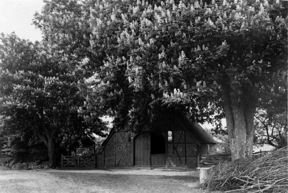 Niedersachsenkate in Rumohrholz bei Rumohr (Kiel 70.297)