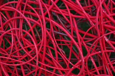 Woven entwined nature