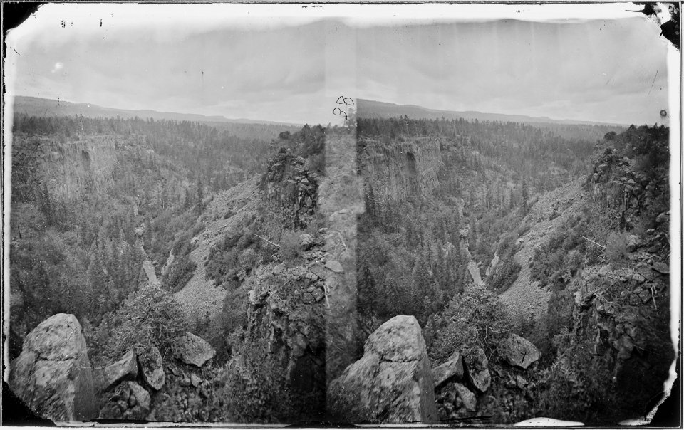 North Fork Canyon, Sierra Blanca Range, Arizona - NARA - 519731