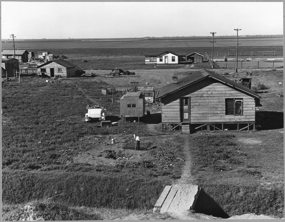 North of Sacramento, Sacramento County, California. Looking down from Natomas Levee, outside the cit . . . - NARA - 521697
