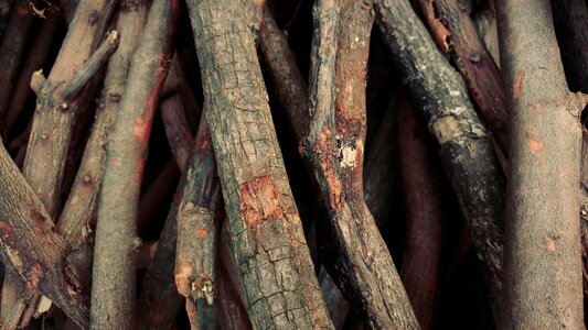 Timber lumber textures