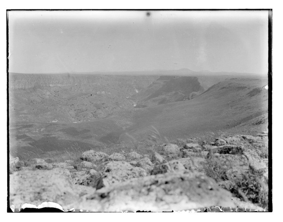 North Palestine botanical trip before 1917 LOC matpc.11581