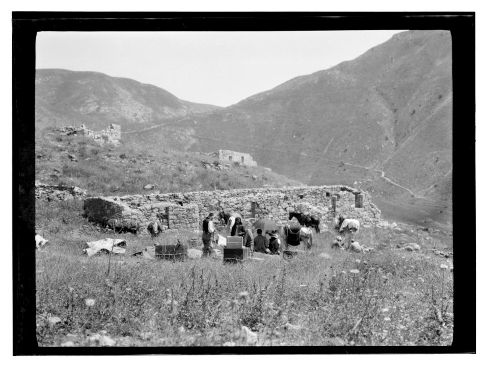 North Palestine botanical trip before 1917 LOC matpc.13479