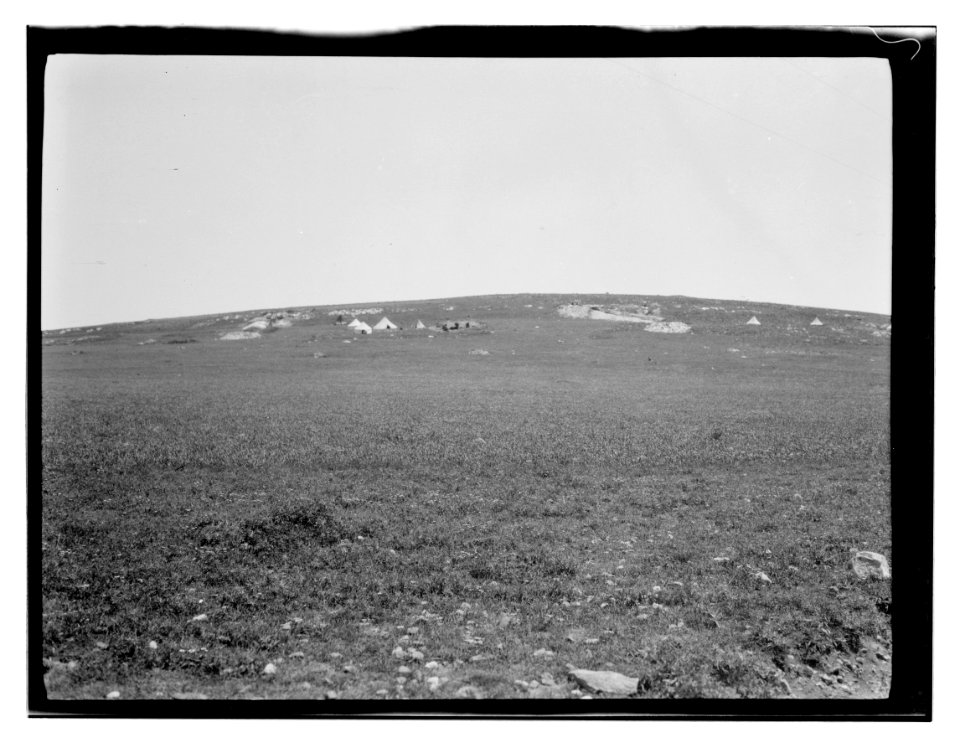 North Palestine botanical trip before 1917 LOC matpc.13481