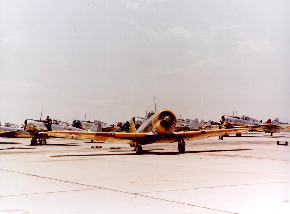 North American SNJ-3 Texans at a Naval Air Station, circa in 1943 (80-G-K-13391)