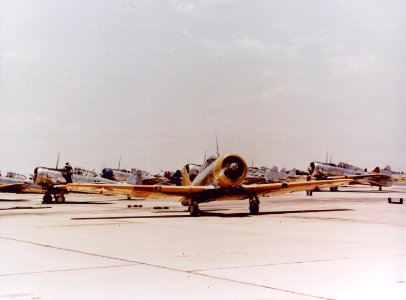 North American SNJ-3 Texans at a Naval Air Station, circa in 1943 (80-G-K-13391) photo