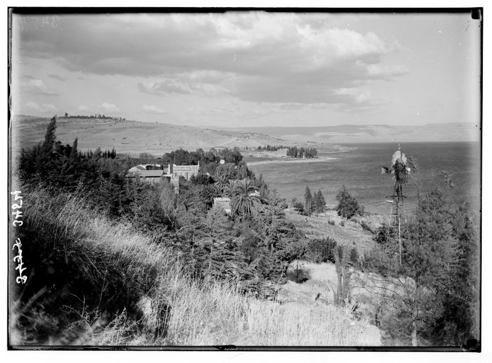 Northern views. Ain Tabgha. Gardens on the lake shore LOC matpc.02794