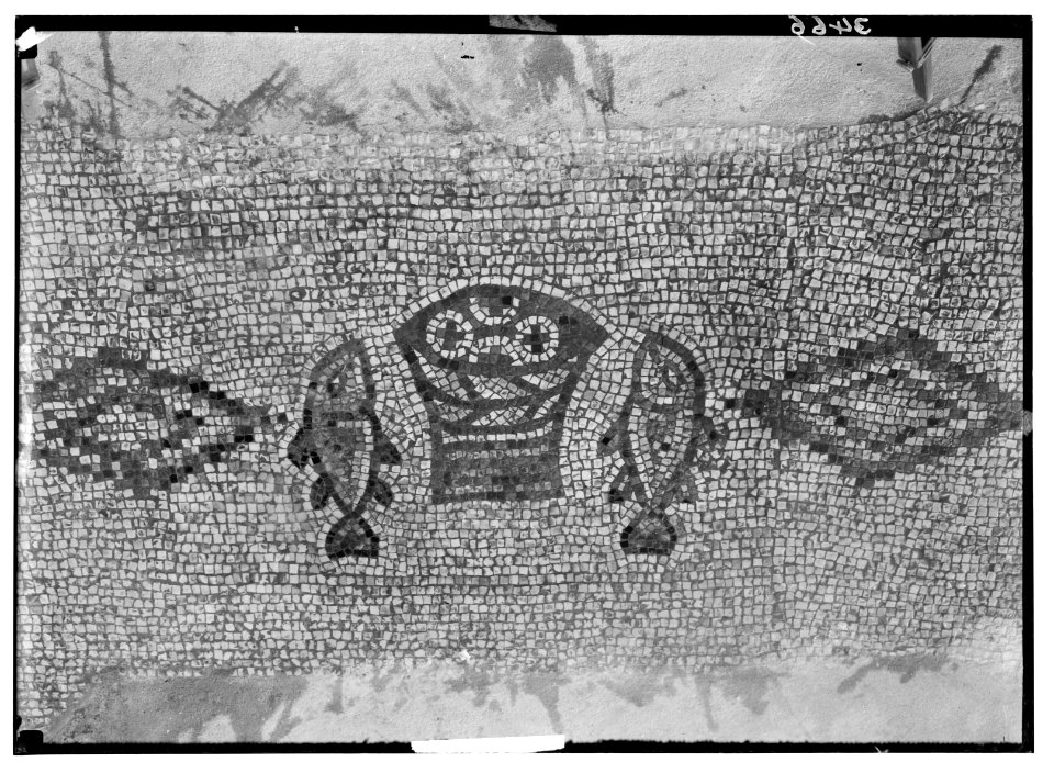 Northern views. Ain Tabgha. Mosaic floor. Loaves and fishes LOC matpc.02800
