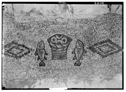 Northern views. Ain Tabgha. Mosaic floor. Loaves and fishes LOC matpc.02800