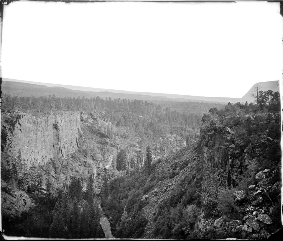 NORTH FORK CANYON, SIERRA BLANCA RANGE, ARIZONA - NARA - 524332