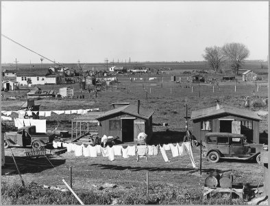 North of Sacramento, Sacramento County, California. Looking down from Natomas Levee, outside the cit . . . - NARA - 521698