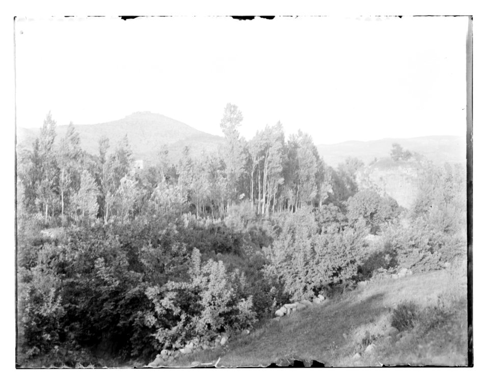 North Palestine botanical trip before 1917 LOC matpc.11576