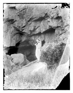 North Palestine botanical trip before 1917 LOC matpc.11578