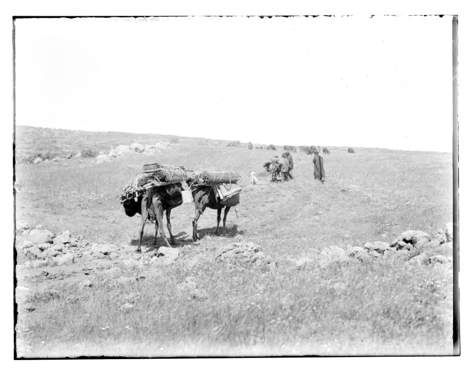 North Palestine botanical trip before 1917 LOC matpc.11580
