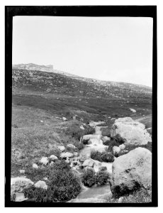 North Palestine botanical trip before 1917 LOC matpc.13476