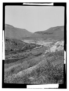 North Palestine botanical trip before 1917 LOC matpc.13478