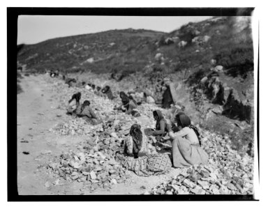 North Palestine botanical trip before 1917 LOC matpc.13482