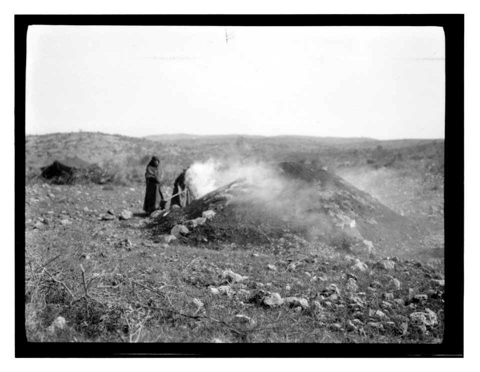 North Palestine botanical trip before 1917 LOC matpc.13484
