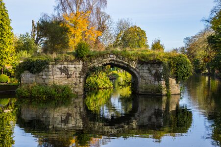 Architecture nature footbridge