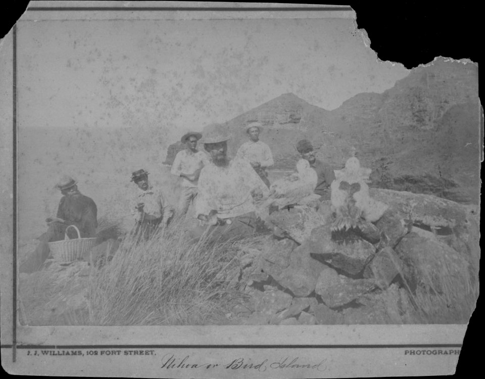 Nihoa or Bird Islands, photograph by J. J. Williams (PP-45-10-004)