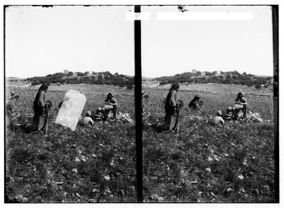 Northern views. Gathering tares from wheat at Bethel LOC matpc.01050