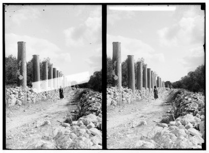 Northern views. Grand colonnade, Samaria LOC matpc.01070