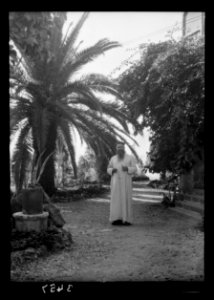 Northern views. Ain Tabgha. Father J. Taepper in hospice garden LOC matpc.15348