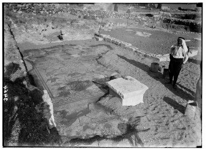 Northern views. Ain Tabgha. Mosaic floor of ancient church LOC matpc.02798