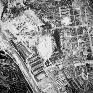 Niko park 1947