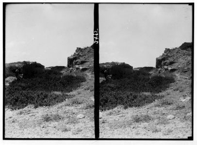 Northern views. Athlit. Rock-hewn moat LOC matpc.02811