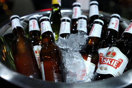 Beer ice hop