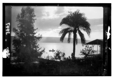 Northern views. Lake Galilee. Sunrise from Tiberias. Picturesque setting with palm tree & boat LOC matpc.14205