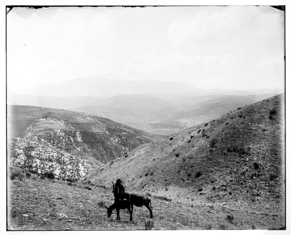 Northern views. Mount Hermon LOC matpc.07039