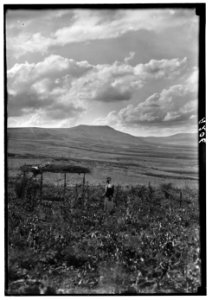 Northern views. Mount of Beatitudes LOC matpc.00690