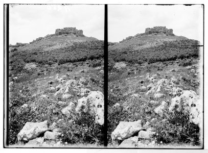 Northern views. Distant view of the castle of Subeibeh LOC matpc.05191