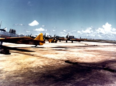 North American SNJ-3 and Brewster F2A-3 trainers at Naval Air Station Miami, circa in 1942 (80-G-K-13384)