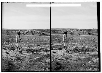Northern views. Nob (Shafat), home of the priests LOC matpc.01039