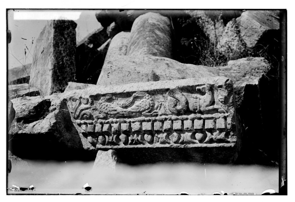 Northern views. Remarkable remains of the synagogue at Capernaum. Details showing allegorical animals, eagles, etc. LOC matpc.05181
