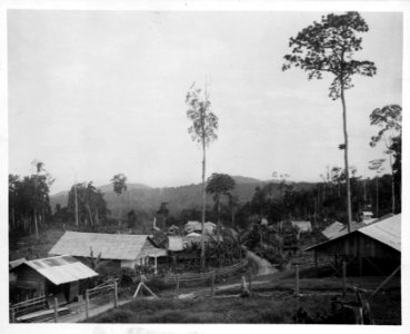 Nord-Celebes. Kabupaten Bolaang Mongondow, Sulawesi. Indonesien - SMVK - 000226