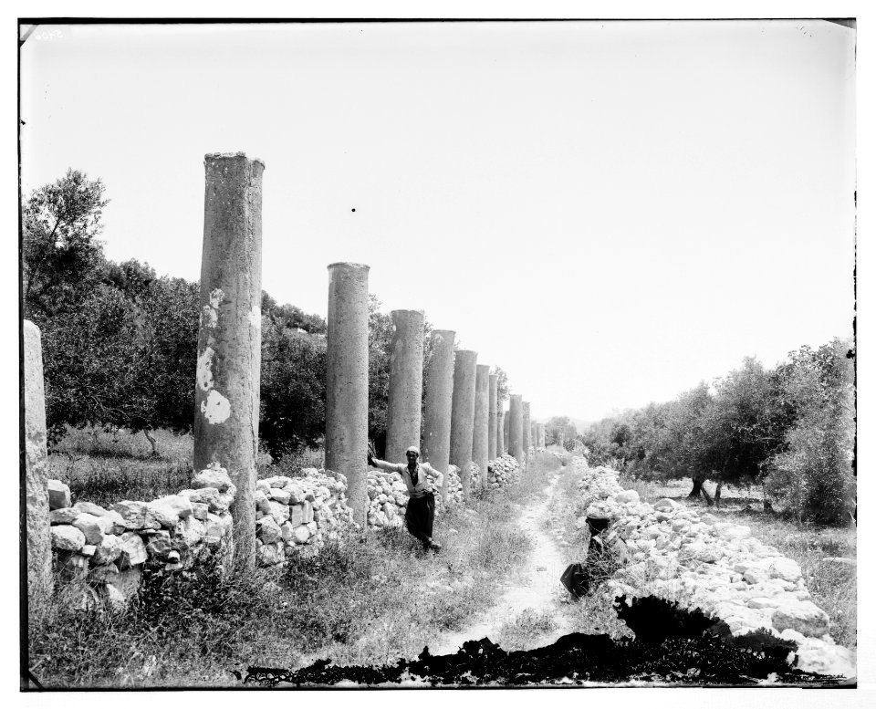 Northern views. Grand Colonnade of Samaria LOC matpc.06980