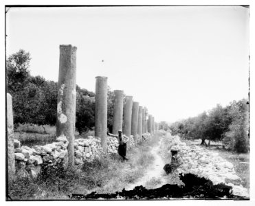 Northern views. Grand Colonnade of Samaria LOC matpc.06980