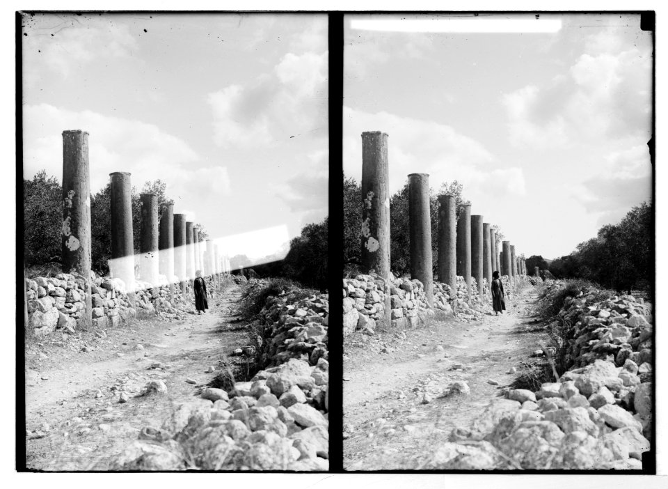 Northern views. Grand colonnade, Samaria LOC matpc.06486