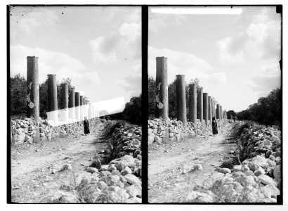Northern views. Grand colonnade, Samaria LOC matpc.06486