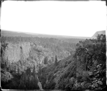 NORTH FORK CANYON, SIERRA BLANCA RANGE, ARIZONA - NARA - 524332