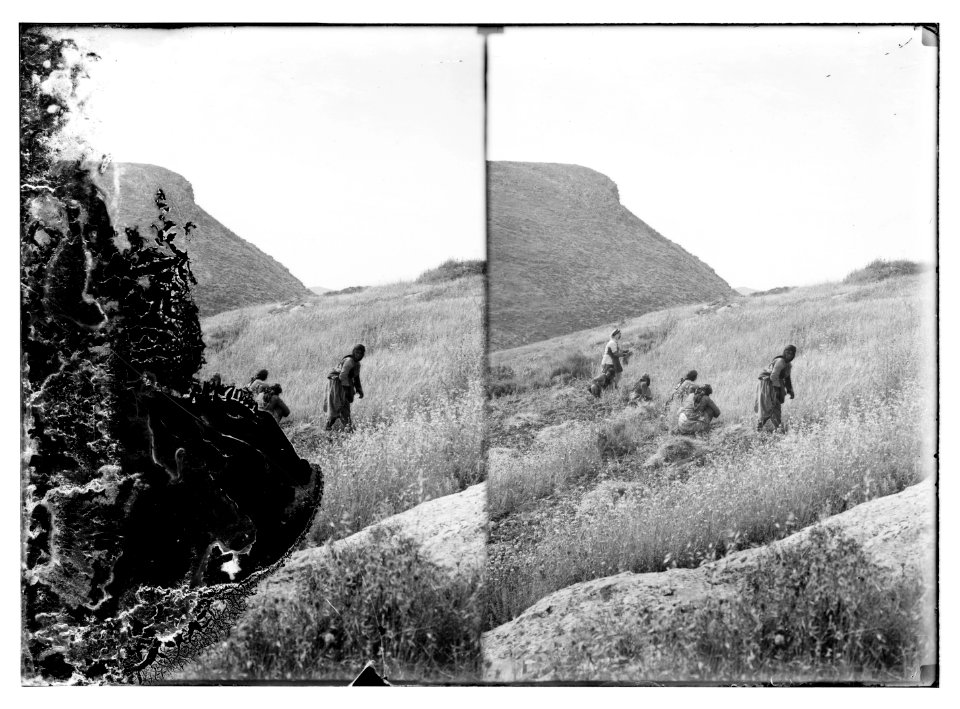 Northern views. Hill of Precipitation near Nazareth LOC matpc.10488
