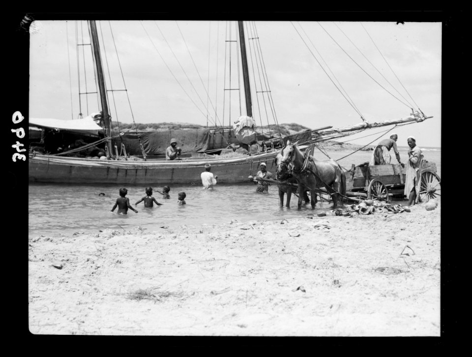 Northern views. Tantoura shipping. Loading sailing vessel with melons LOC matpc.15366